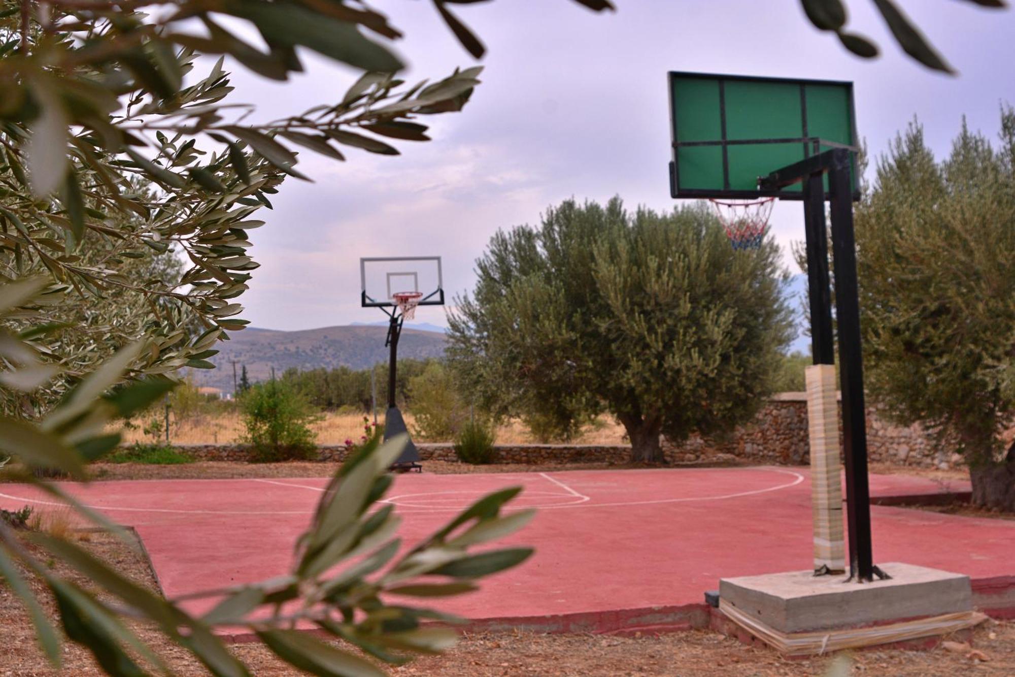 Villa In The Olive Trees Galaxídhion Esterno foto